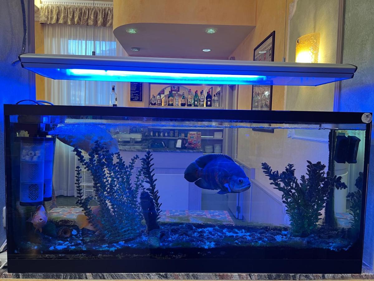 Hotel Villa Primavera بيزا المظهر الخارجي الصورة